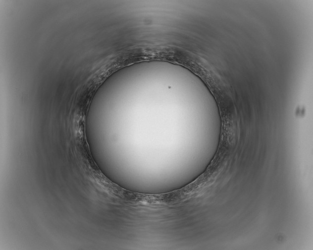 X0000090920770200708131432