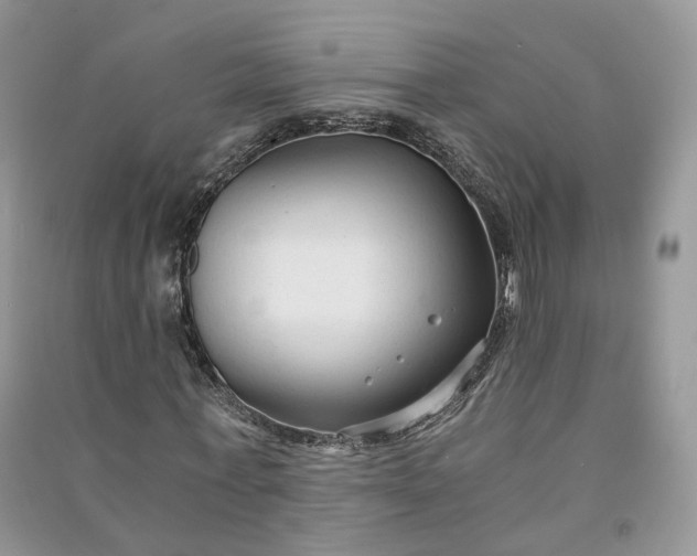 X0000090920771200708131432