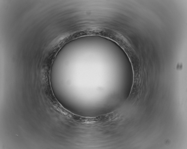 X0000090920773200708131432