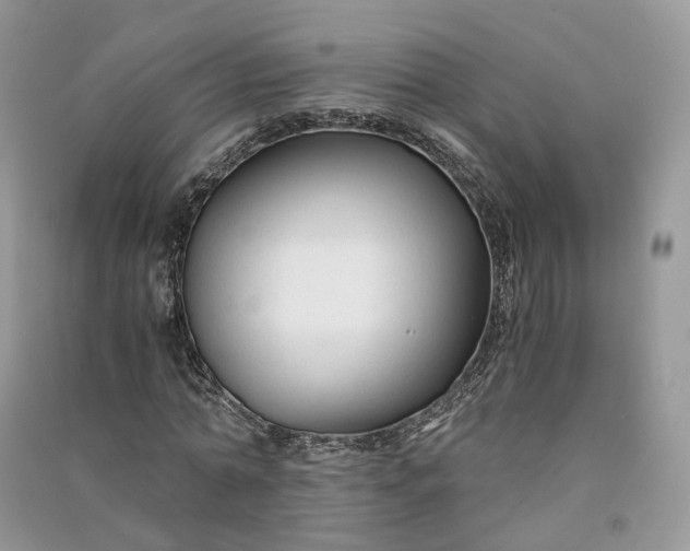 X0000090920774200708131432