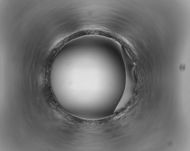 X0000090920775200708131432