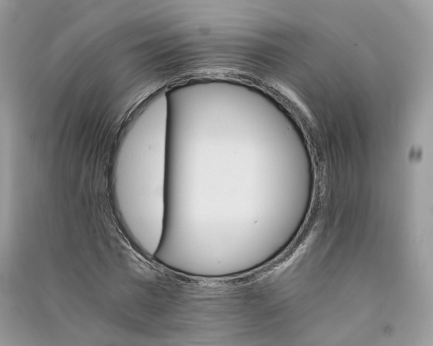 X0000090920777200708131432