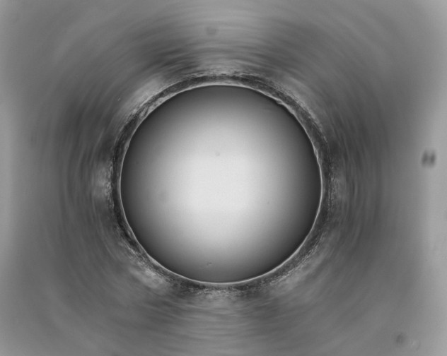 X0000090920778200708131432