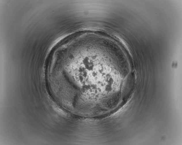 X0000090920779200708131432