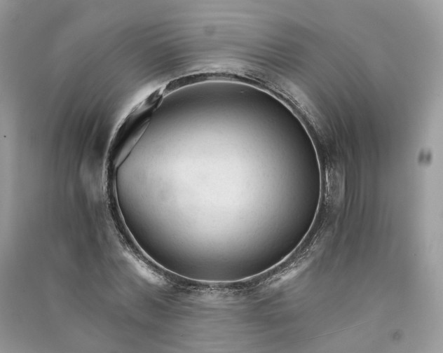 X0000090920780200708131432