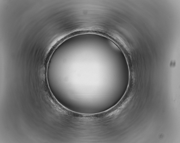 X0000090920781200708131432