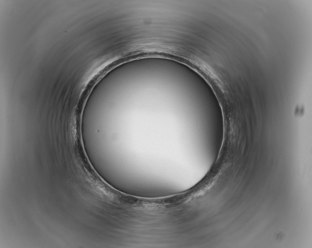 X0000090920782200708131432