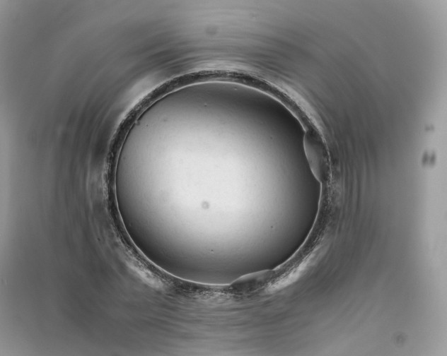 X0000090920783200708131432