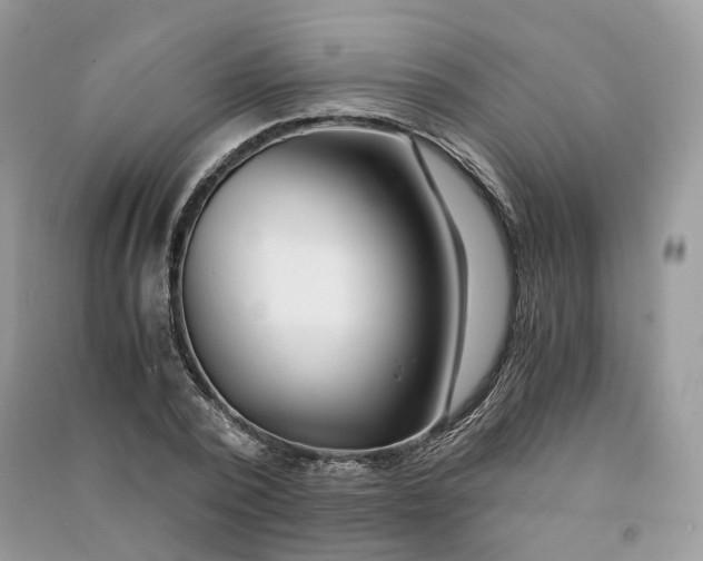 X0000090920784200708131432