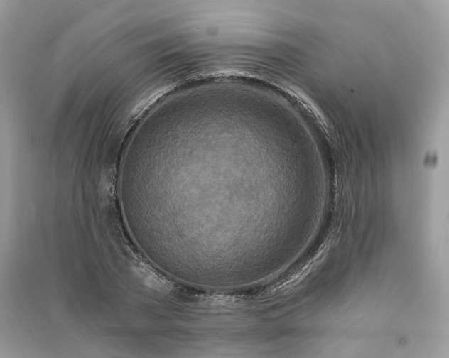 X0000090920785200708131432