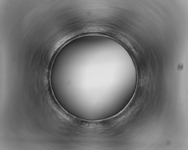 X0000090920786200708131432