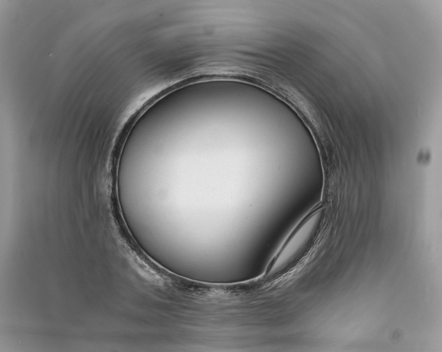 X0000090920787200708131432