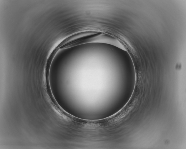 X0000090920788200708131432