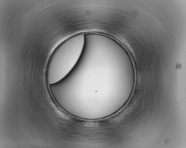 X0000090920789200708131432