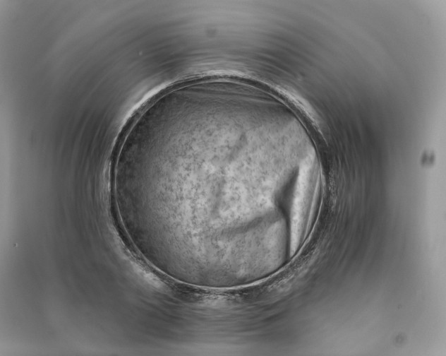 X0000090920790200708131432