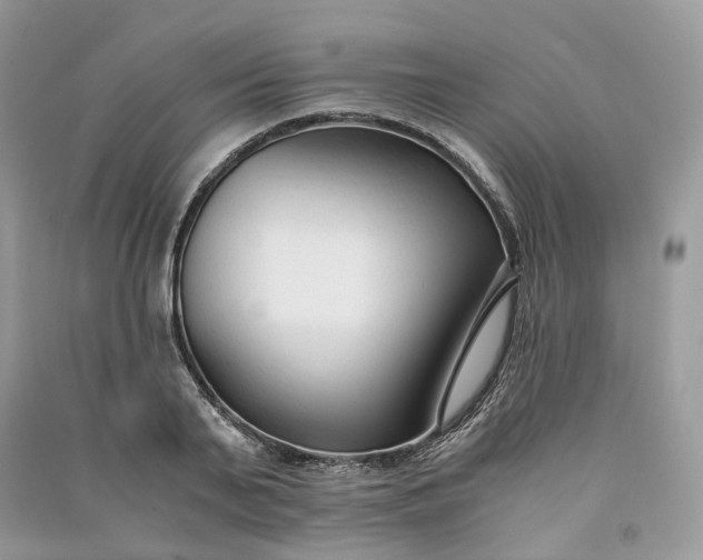 X0000090920791200708131432