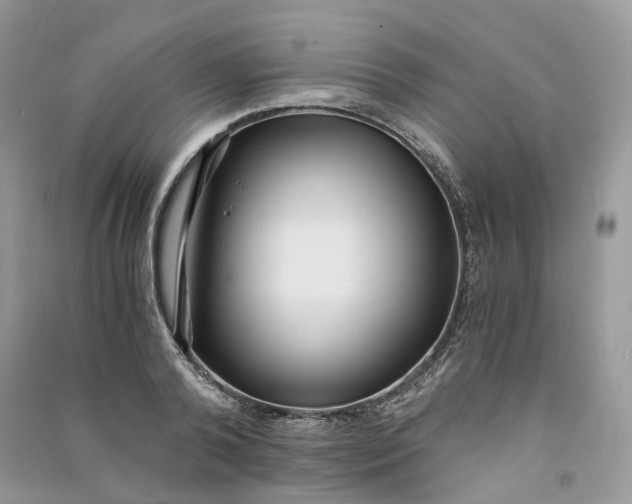 X0000090920792200708131432