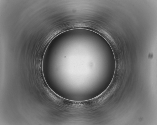 X0000090920793200708131432