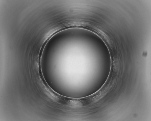 X0000090920794200708131432