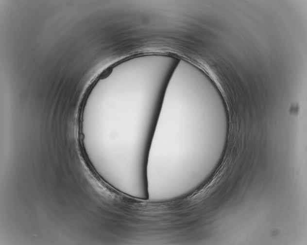 X0000090920795200708131432