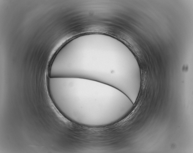 X0000090920796200708131432