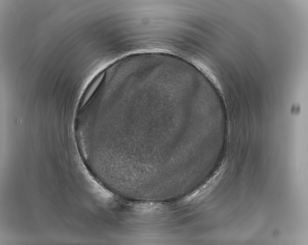 X0000090920797200708131432