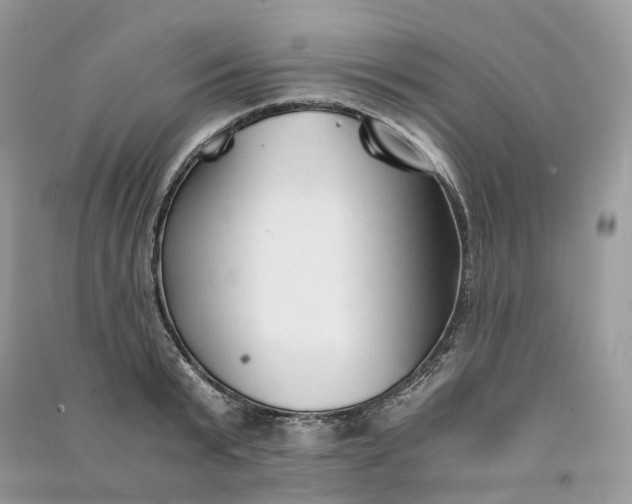 X0000090920799200708131432