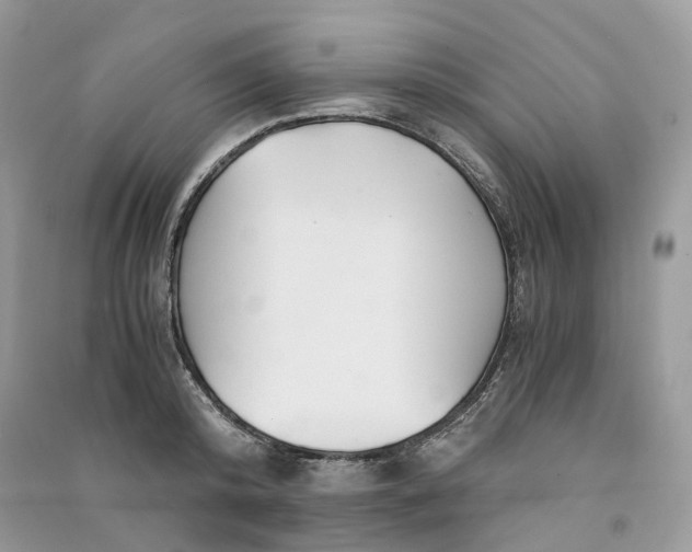 X0000090920800200708131432