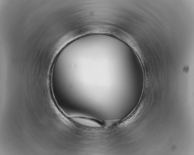 X0000090920803200708131432