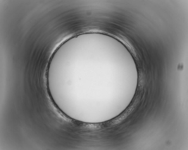 X0000090920806200708131432