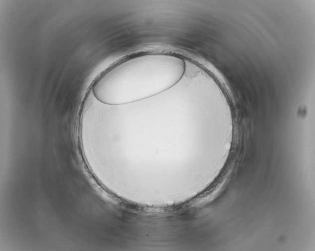 X0000090920807200708131432