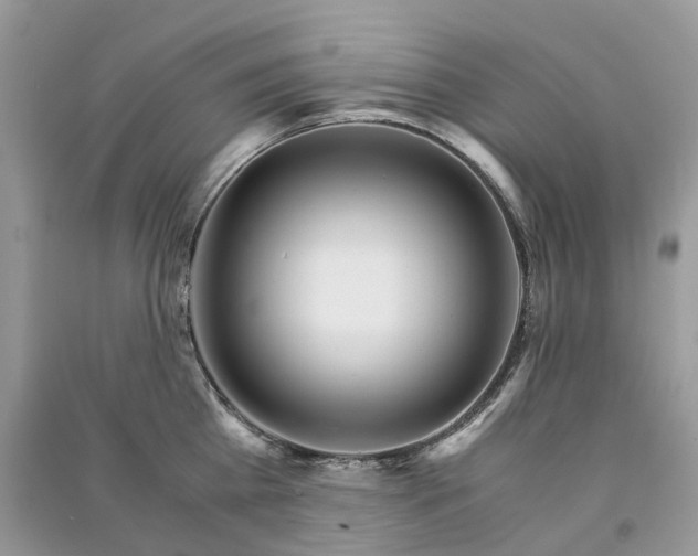 X0000090920809200708131432