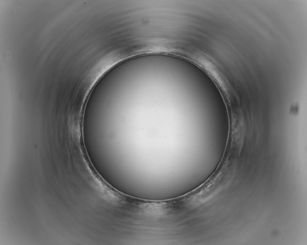 X0000090920810200708131432