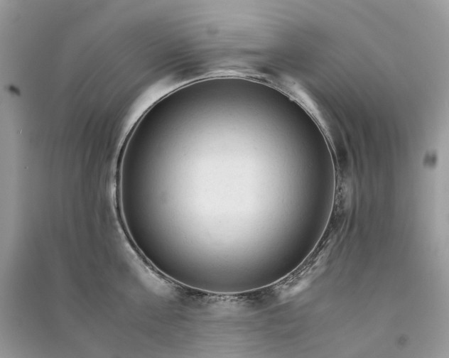 X0000090920811200708131432