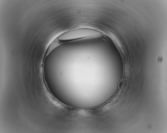 X0000090920814200708131431