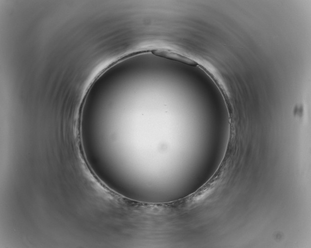 X0000090920815200708131431