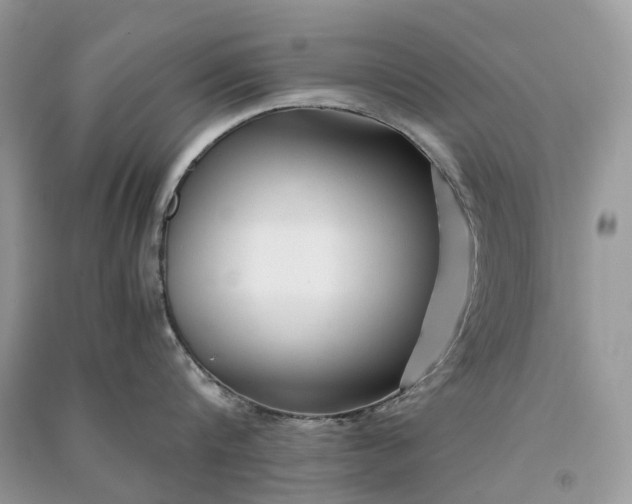 X0000090920816200708131431