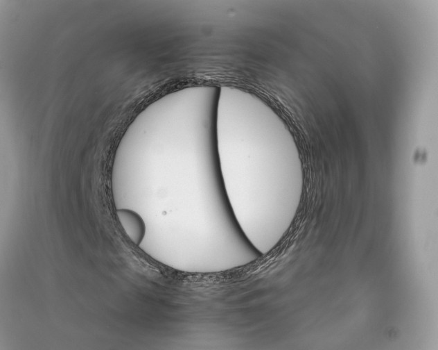 X0000090920817200708131431