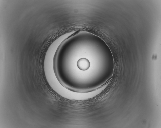 X0000090920818200708131431