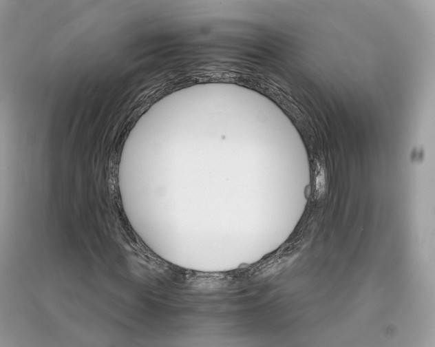 X0000090920819200708131431