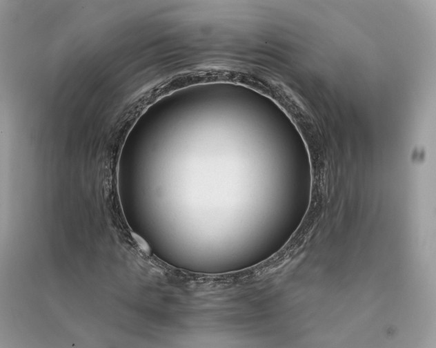 X0000090920821200708131431