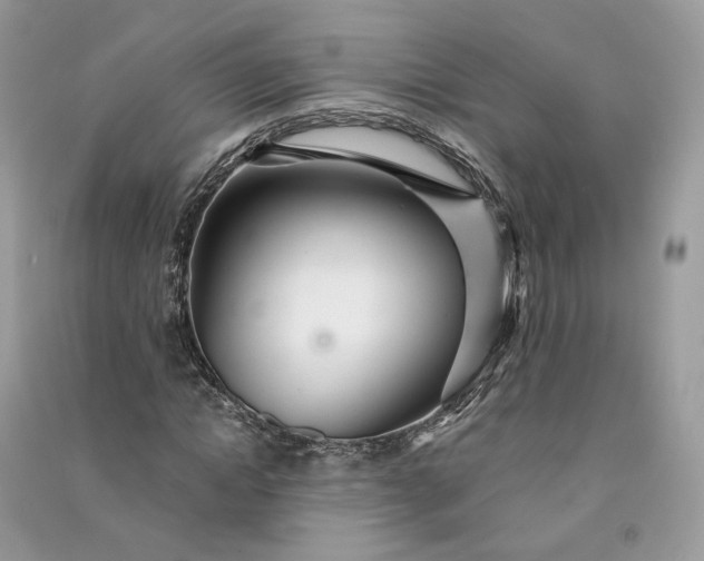 X0000090920822200708131431