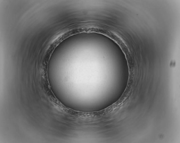 X0000090920823200708131431