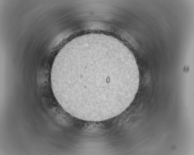 X0000090920824200708131431