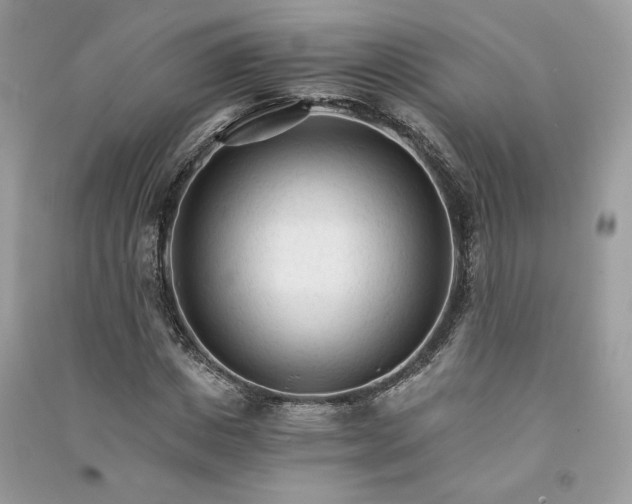 X0000090920825200708131431