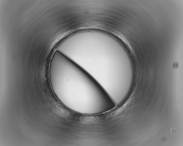 X0000090920826200708131431