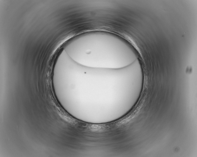 X0000090920827200708131431