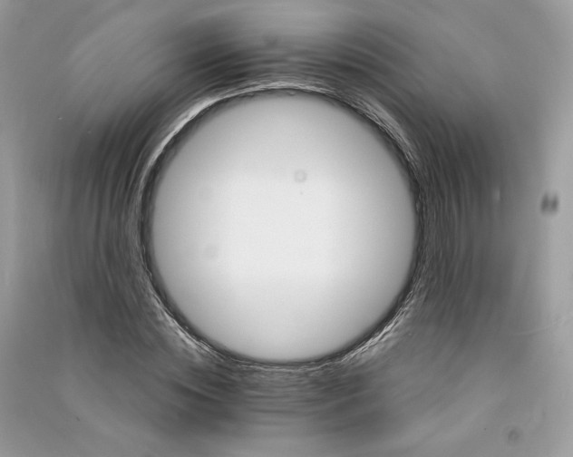 X0000090920828200708131431