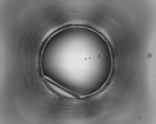 X0000090920829200708131431