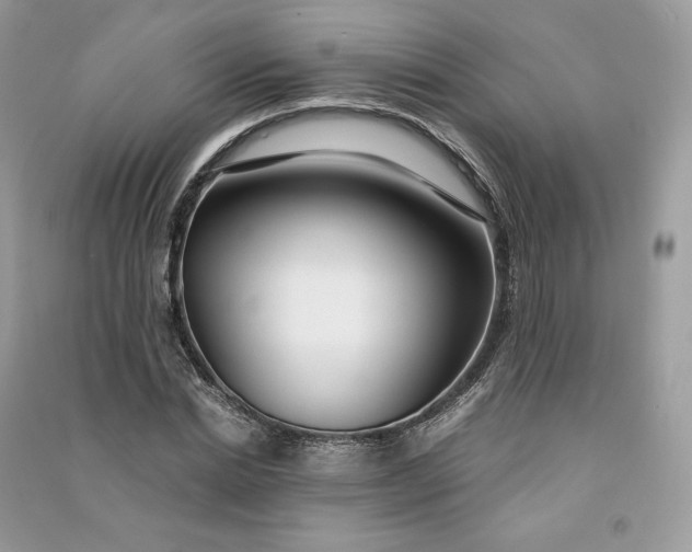 X0000090920830200708131431